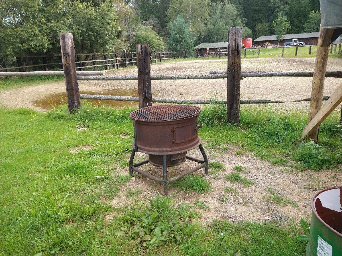 Penzion Farma U Mauritzů Stožec Exterior foto